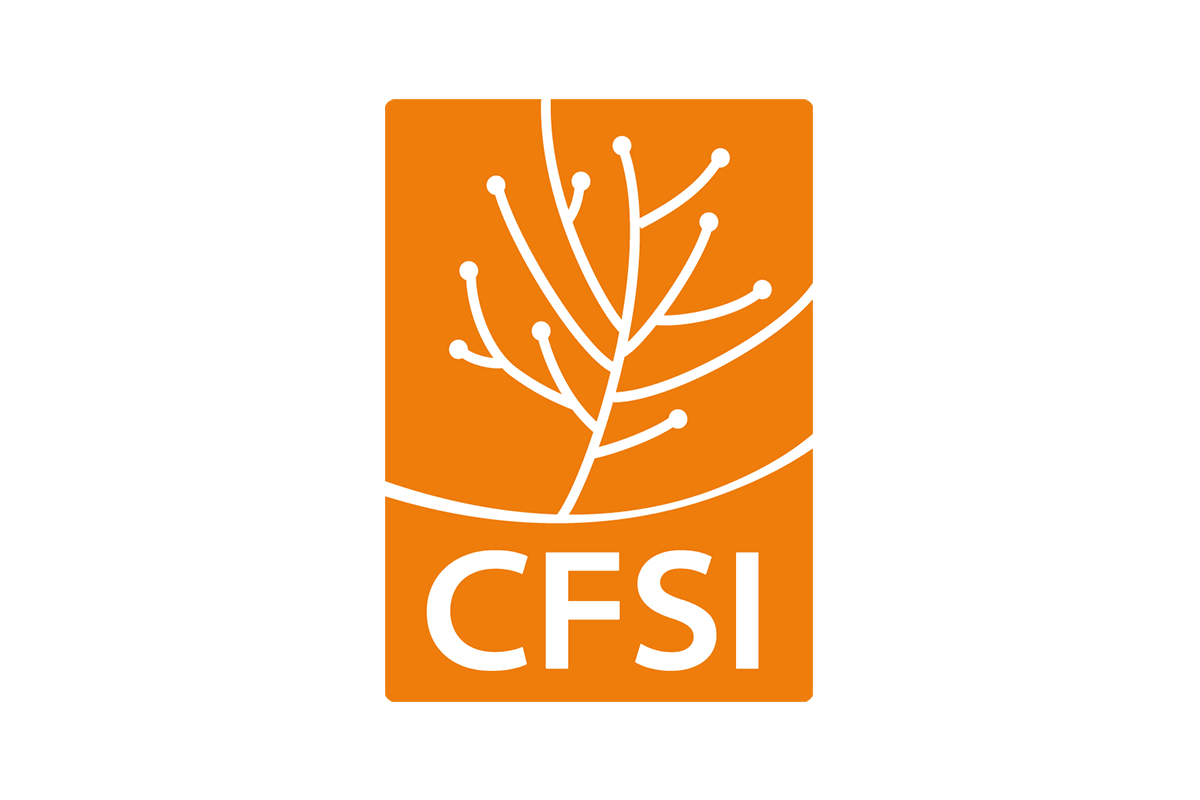 Read more about the article Comité Français pour la Solidarité Internationale (CFSI) – Suivi-évaluation continu du programme « Coopérer autrement, en acteurs de changement »